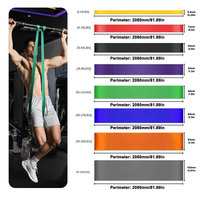Venta al por mayor de fábrica: Juego de bandas de resistencia para calistenia, dominadas y entrenamiento de CrossFit, bandas de potencia para gimnasio.