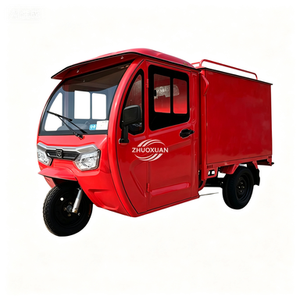 Wholesale Two Door Electric Freight Tricycle Heavy Load 200KG With Cargo Box - Product Image 2