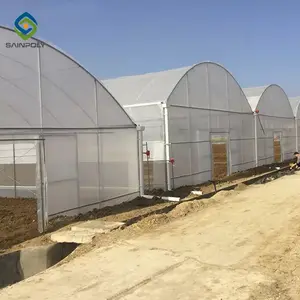 Invernadero chino de alta calidad, invernadero para agricultura