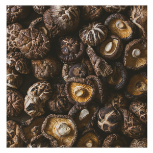 เห็ดหอมคุณภาพสูงสำหรับการส่งออก - Product Image 1