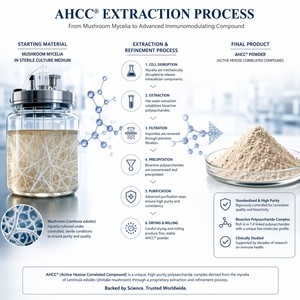 Poudre de complexe de champignons à marque privée LP-51 – Soutien immunitaire premium et mélange multi-champignons pour le renforcement du système immunitaire - Product Image 4