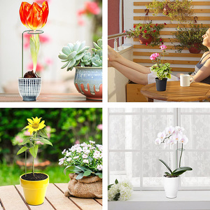 Dropshipping 60cm Single Stem Plant Stakes Stainless Steel <strong>Flower</strong> <strong>Support</strong> Rings for Amaryllis Orchid Lily Rose and Tomatoes - Product Image 2