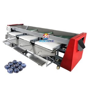 Equipo de Clasificación de Frutas por Tamaño de Acero Inoxidable, Clasificador de Arándanos, Máquina Clasificadora de Arándanos en Venta - Product Image 2