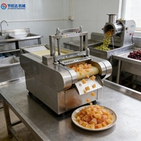 Commerciële groentesnijder, groenteschiller en -snijmachine voor fruitverwerkingsbedrijven