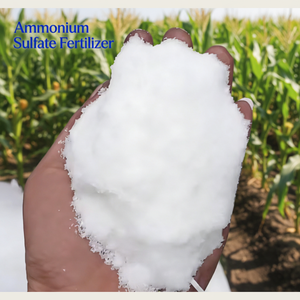 Sulfate d'ammonium de qualité agricole en poudre, marque Man Heart, pureté 99%, <span class=keywords><strong>azote</strong></span> à libération rapide 20,5%, engrais 25kg/50kg/1000kg - Product Image 1