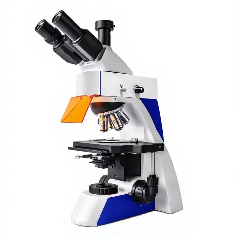 Murzider MSD501 T 11 6YT Infinity