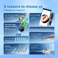 Endoscope Visuel Numérique HD avec Caméra d'Oreille WiFi, Éclairage LED, en ABS et Acier Inoxydable, Bâtonnet Portable pour l'Inspection du Cérumen