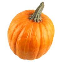 Masque de citrouille intégral, masque facial tête de citrouille, masque facial effrayant pour adulte pour Halloween et Noël
