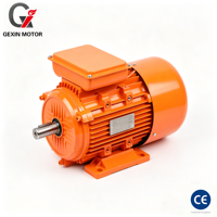Moteur AC monophasé CE de haute qualité ML90L-2 2,2 kW 3 CV 3000 tr/min 2900 tr/min en 50 Hz/Hz, moteur asynchrone monophasé