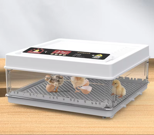 Автоматический инкубатор для маленьких яиц - Product Image 1