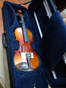 Offre Spéciale Économique Avancé De Haute Qualité Professionnel Violon À La Main - Product Image 6