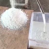 Commerciële Kokosnoot Verwerkingsmachine/Kokosmelk Extractor Kokosnoot Slijpmachine/Kokosmelk Knijpmachine