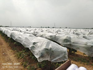 Couverture en tissu non tissé en PP dégradable blanc respirant et écologique de haute qualité pour mauvaises herbes de Style rouleau d'horticulture agricole - Product Image 5