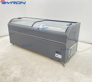Congélateur coffre commercial universel pour glaces et bâtonnets glacés, horizontal et profond - Product Image 1