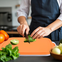 Meilleures ventes Allifemax, planches à découper pliables multifonctionnelles, bac antidérapant, facile à nettoyer, trois tailles, PP, pour la maison et la cuisine