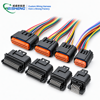 Connecteur automobile étanche multi-contacts OEM personnalisé IP68 pour faisceau de câblage de carte PCB, conforme RoHS