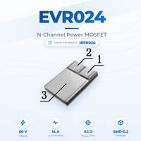 Transistor MOSFET Saluran-N 60V 14A SMD-0.2 Standar Level Daya Pengalih Kontrol Industri EvolE EVR024 IRFR024