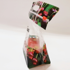 Cherry túi trái cây tươi bao bì túi Rau chống sương mù Túi rõ ràng túi nhựa thực phẩm cho trái cây và rau gói - Product Image 2
