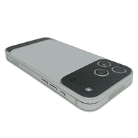 Pour iPhone 17 Series : Cadre de téléphone plaqué or de luxe, design populaire à Dubaï, boîtier de téléphone électroplaqué en fibre de carbone