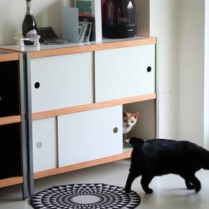 Credenza Moderna in Legno Massello di Berlino con Spazio di Archiviazione Integrato per l'Ingresso di Casa, Design Bauhaus Cinese - Product Image 3