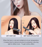 Multi Styler 2 in 1 Airstyler Wet to Dry Plancha Cabello Airflow Pengering Rambut Portable Catokan Pelurus Rambut Dengan Udara