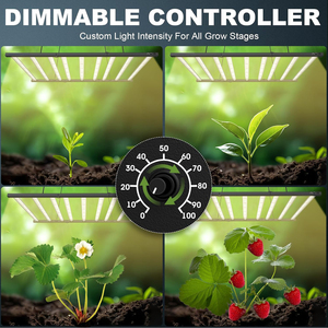 Sanyiba Samsung lm301h Evo Bạc Hà Trắng 301B 1200W 1000W dẫn mới phát triển đèn quang phổ đầy đủ 6x6 318 301H EVO chip - Product Image 2