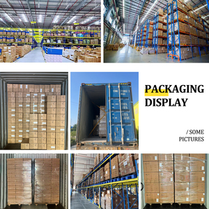 Jaula 6 en 1 con Todos los Accesorios, Rueda, Botella, Plato, Escondite, Visión Totalmente Transparente para Hámster Enano, Transportín de Viaje - Product Image 6