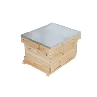 Caja de colmena individual con cubierta superior de Metal, cubierta interior de malla metálica para prueba de lluvia, herramienta de equipo de apicultura a prueba de nieve