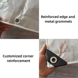 Couverture de serre tissée renforcée Film tissé transparent Imperméable Toile plastique - Product Image 4