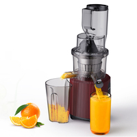 Slimme elektrische fruitpers met optionele schermextractor, slowjuicer, koude sinaasappelsapmachine