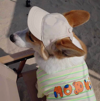 Casquette de baseball pour chien d'extérieur, chapeau de protection solaire en toile avec trous pour les oreilles et sangle réglable pour chiots et chiens de taille moyenne