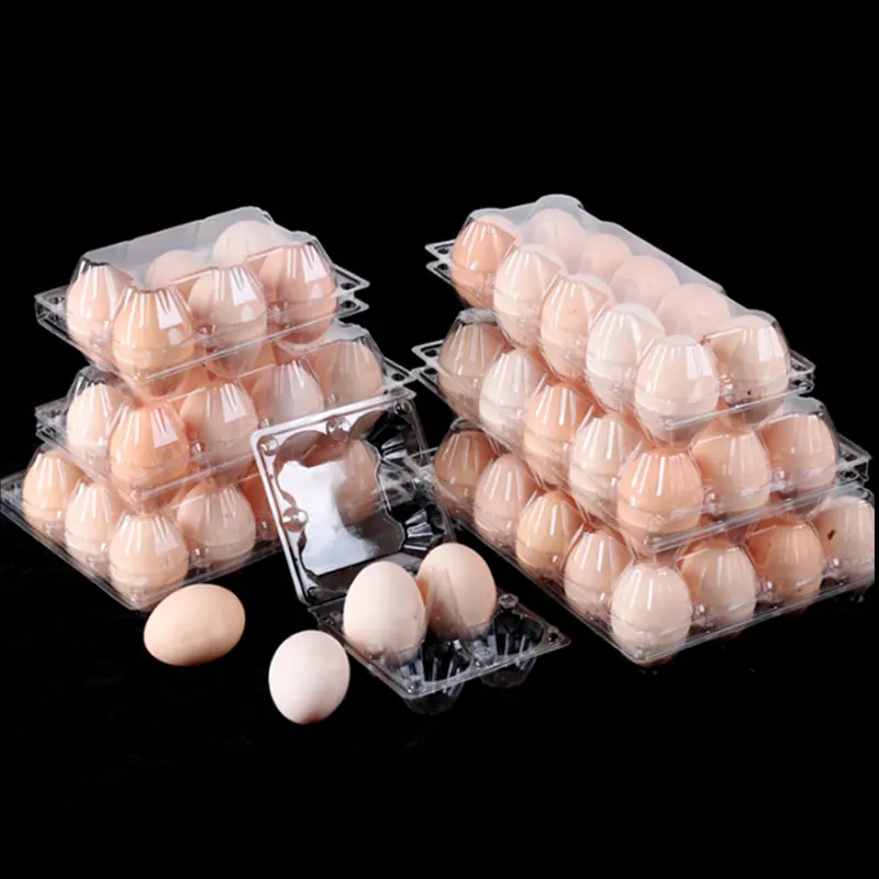 Blíster Personalizado Plástico Desechable clamshell 12 Huevos Codorniz Huevo Embalaje Bandeja Cartón