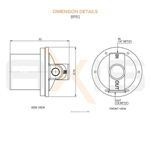 Régulateur de pression mural Axis BPR1 SS316 1/4 pouce NPT 1,4 bars pour applications d'échantillonnage d'eau en centrale électrique - Product Image 2