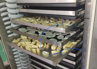 OEM ODM Home Freeze Dryer Aanpasbare Vriesdroogmachine 20kg/u Capaciteit Automatische Elektrische Pomp voor Voedselverwerking Klein