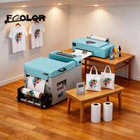 Imprimante DTF FCOLOR A3 30cm 33cm Rouleau à Rouleau avec Four de Séchage, Imprimante DTF pour Alimentation Automatique de Film, Machine d'Impression par Transfert Thermique