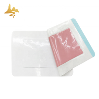 Hot & Cold Packs Patch transdermique Nouveau produit-Pansements chinois à base de plantes pour le soulagement de la douleur sciatique du dos
