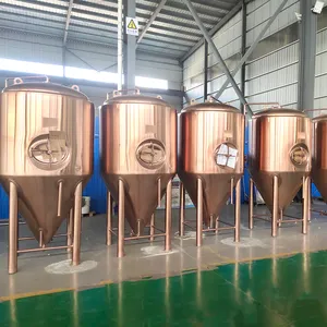 Isobaric jacketed stainless steel 600L fermentation tanks beer fermenting vessel with insulation high quality and good design