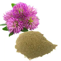 Poudre d'extrait de trèfle rouge en gros d'usine 10%-40% Isoflavones Trifolium Pratense Matière première végétale pour l'alimentation en vrac en stock