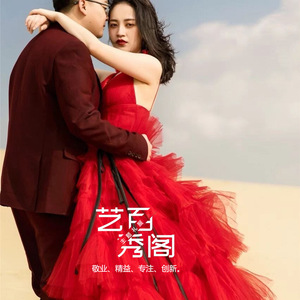Art Show Wedding Dress Ball Gown V-neck Tulle Natural Waistline For Street Photography Outdoor Travel Couple Shoot - Product Image 4