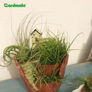 GARDMATE Pot de fleurs suspendu en polyrésine écologique et durable pour plantes succulentes, idéal pour la décoration de <span class=keywords><strong>balcon</strong></span> et de jardin féerique <span class=keywords><strong>DIY</strong></span> - Product Image 6