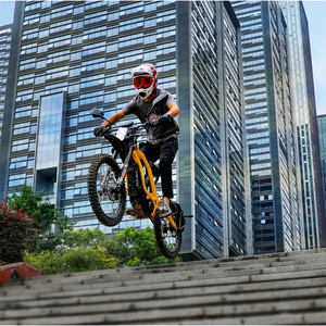 Moto électrique EU 2024 Surron Dirt Bike Light X, moteur central 60V, batterie lithium 40Ah, légère - Product Image 6