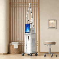 CO2 Fraksiyonel Lazer 10600nm Cilt Yenileme Makinesi Güzellik Kliniği Ekipmanı