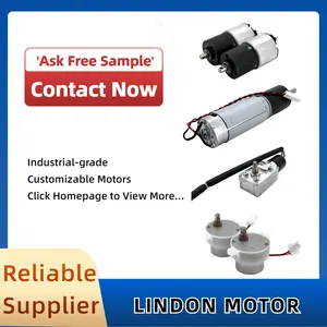 Lindon personalizable 12V 3,6 W DC Gear Motor ventilador de coche electrodomésticos inteligentes alto Torque bajo ruido cepillo Motor de bicicleta eléctrica