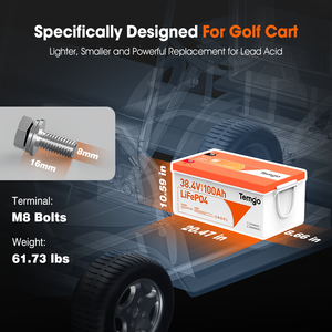 Hot bán Golf giỏ hàng 36V 48V 100AH 105ah 150AH LiFePO4 Pin Golf giỏ hàng pin Lithium ion - Product Image 3