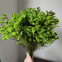 Geconserveerde bloemen Eeuwigdurend Limonium (Kristalgras) Arrangement Bloemboeket DIY Bruiloft Valentijnsdag Moederdag Kerstmis Huis