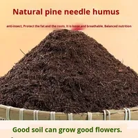 Sol composté d'aiguille de pin fermenté pur avec sol de Type universel nutritif de moule de feuille pour fleurs et plantes tourbe