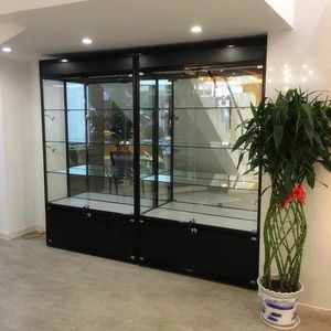 2021 Modern Jewelry Showroom Cheap Shop Glass Metal Cabinet Display Showcase
