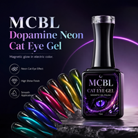 Gel UV magnétique holographique 9D effet œil de chat, qualité supérieure, vegan, écologique, professionnel, longue tenue, en flacon
