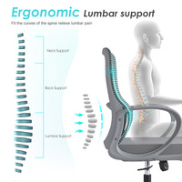 Chaise de bureau ergonomique moderne à dossier mi-haut avec support lombaire en maille et mousse moulée par injection, mobilier de bureau OEM