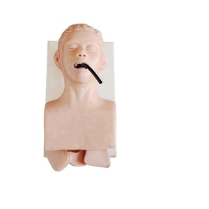 Modèle de formation médicale avancé, 3 en 406, modèle de simulation de vapotage, chemin masculin, tpr, mannequin - Product Image 1